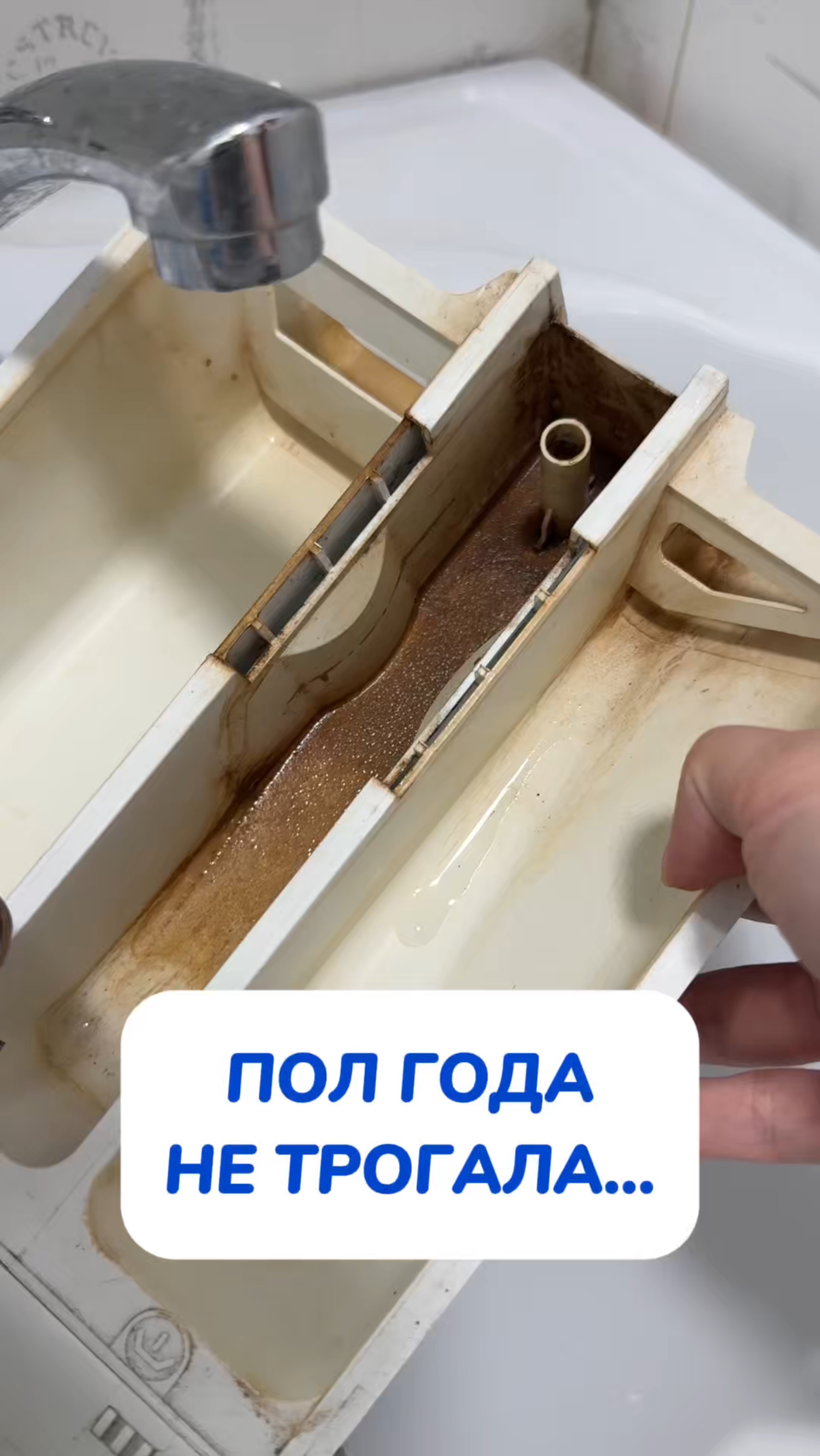 Похоже реально надо было мыть…