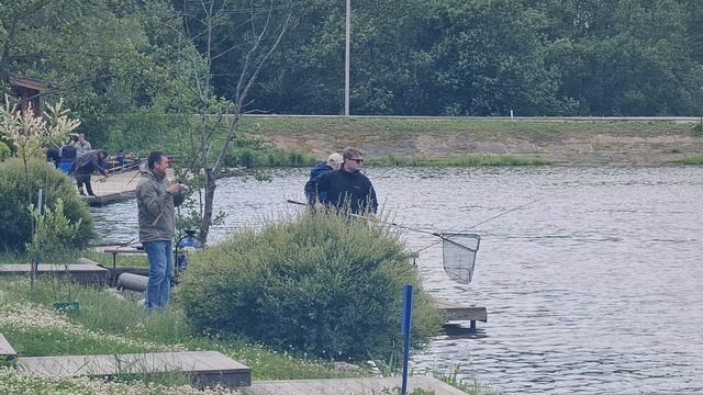 Сход карпа