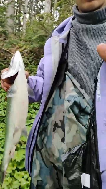 Воблер 65 мм №86 от Mr.Musurok в деле 🎣