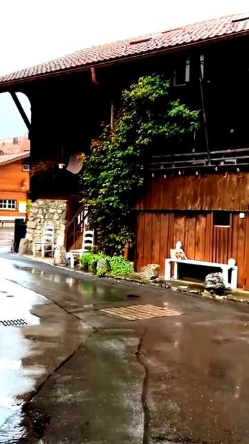 Камера зафиксировала невероятное
