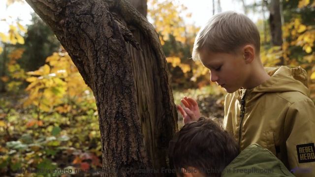 Музыка заставляет влюбиться в природу заново - WitchCraft -- HoliznaCC0 -- Orphaned Media