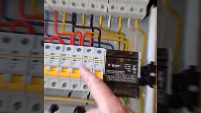1000027032.mp4 (Собака смотрит на монтаж э/проводки на кухне в доме А-фрейм)