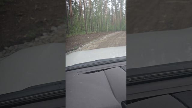 Подъезд к участку с ул. Заречной