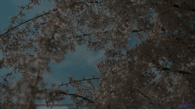 Включите этот трек - и каждый километр станет историей вашей любви - 1-il y a -- Bonne Humeur Provis
