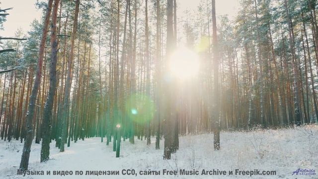 Когда музыка становится вашим попутчиком! - 20 Minute Meditation 11 -- HoliznaCC0 -- Space - Sleep -