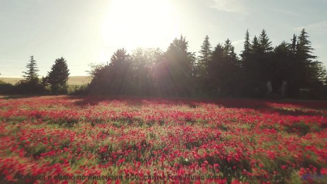 Слушайте её вместе - и почувствуйте, как вы становитесь ближе! - Mt. Fuji -- Timecrawler 82 -- Osaka