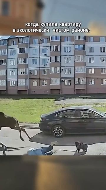 Экологически чистый микрорайон.
