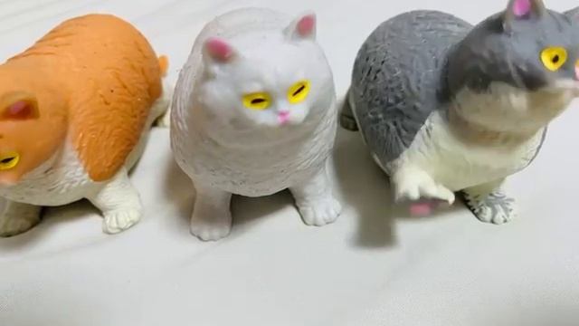 Три кота