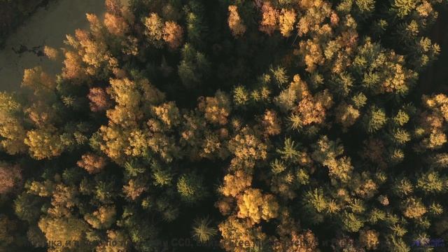 Музыка раскрывает горизонты быстрее любого самолёта - Mellow Lo-Fi -- Scott Holmes Music -- Media Mu