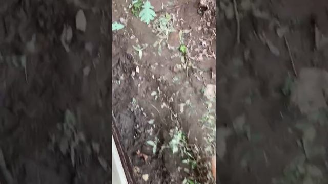 Раскопки вокруг гаража. Готовим дренаж. garage