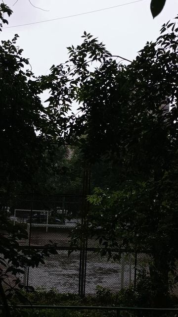 Дождь не может быть вечным....©
