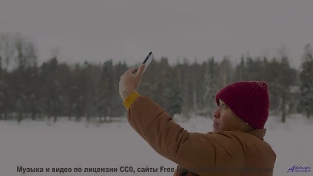 Музыка качает внутри, как буря качает облака - Dragonslayer -- Podington Bear -- Said Lion To Lamb (