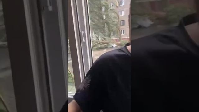 Смешное видео. Прикол