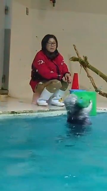 scene_output.mp4