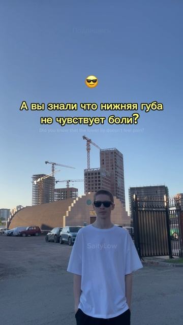 Покажи друзьям рядом, посмотреть на их реакцию 😎 SaityLow