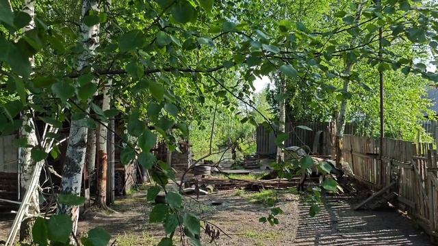 Козёл как собачка