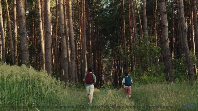 Музыка раскрывает Землю так, как не покажет ни один фильм - Gilded-Moon -- Ketsa -- The Calling