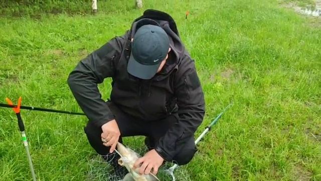 WhatsApp Video 2025-06-21 at 08.24.49 (1)