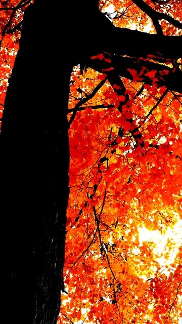 Секреты камеры