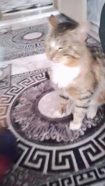 1000000792.mp4