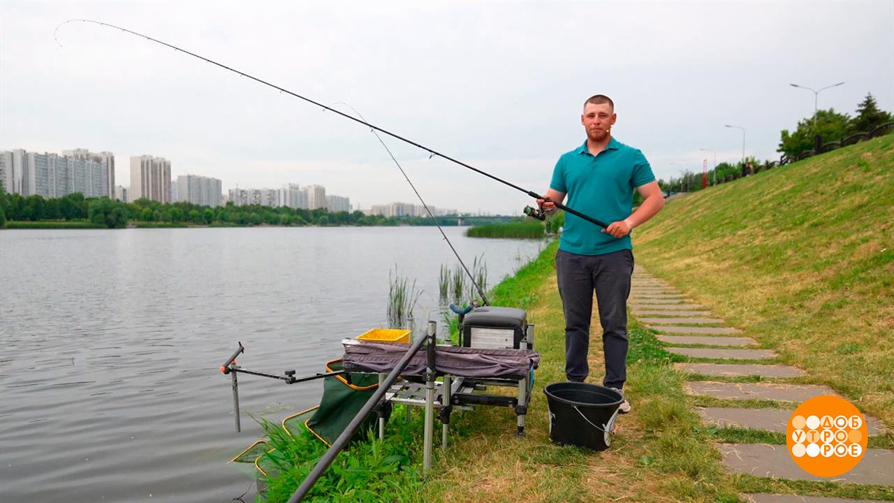 Лещ любит сладенькое! Доброе утро. Суббота. Фрагмент выпуска от 21.06.2025