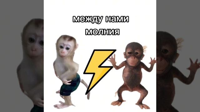 это ты