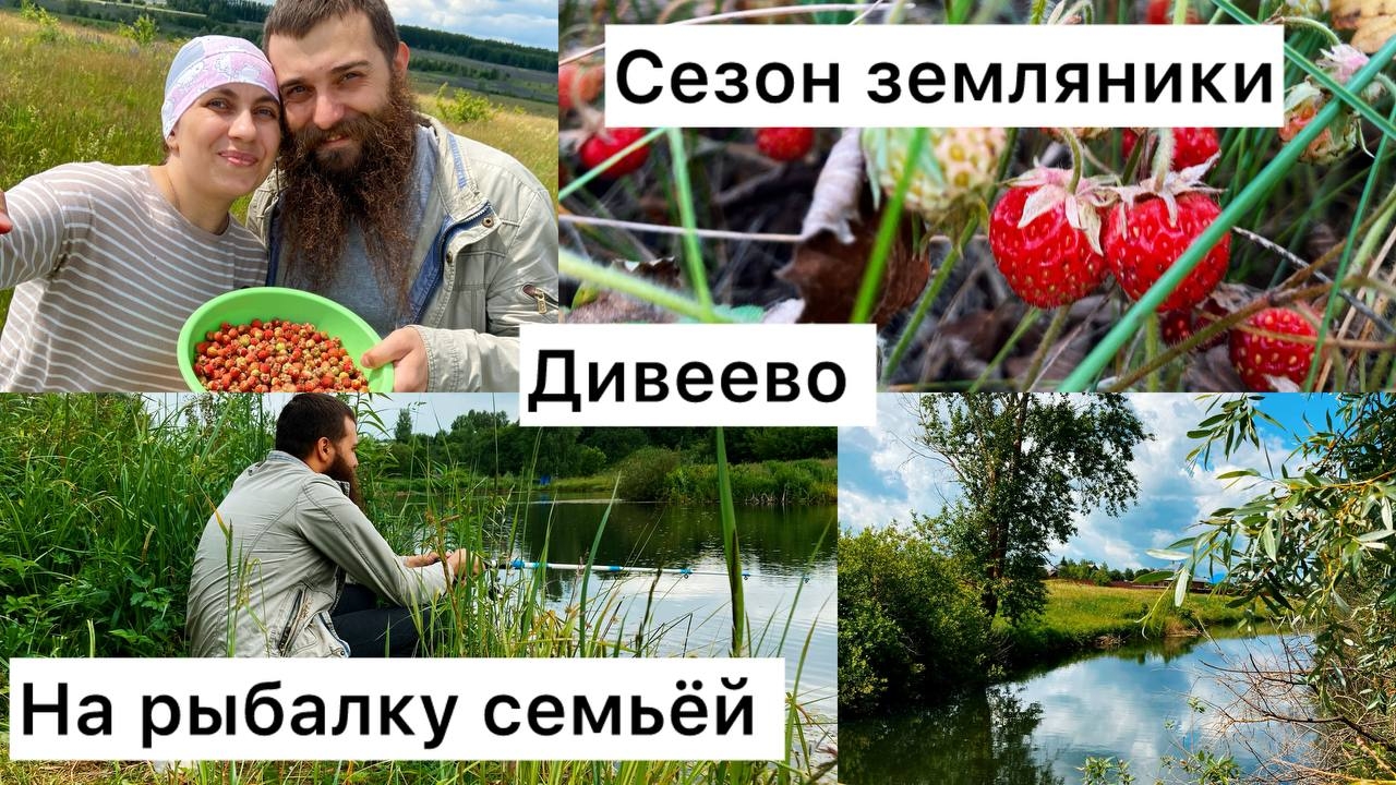 Живём в селе / Запасаемся земляникой / Отдыхаем семьёй