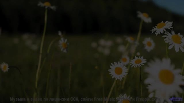 Кадры, снятые через кротовую нору - технологии будущего! - Talk2me -- Makaih Beats -- Talk2me