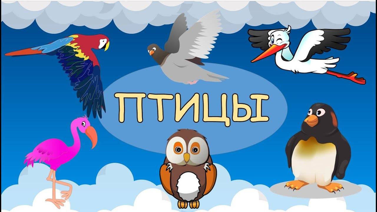 ПТИЦЫ развивающие мультики для малышей. Учим животных вместе!