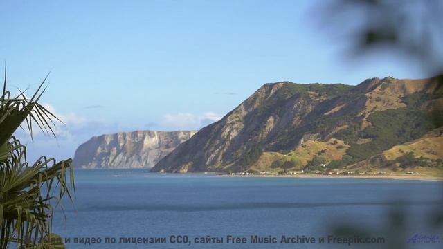 Леса шепчут свои истории вместе с этим треком - Rack Focus -- A. A. Aalto -- The West