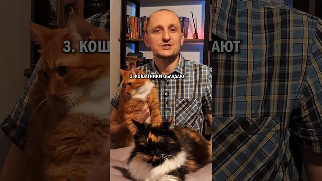 Кот как тест на любовь #котик #кошатники #кот #кошка