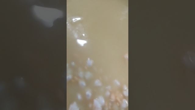 1000027388.mp4просто сыр