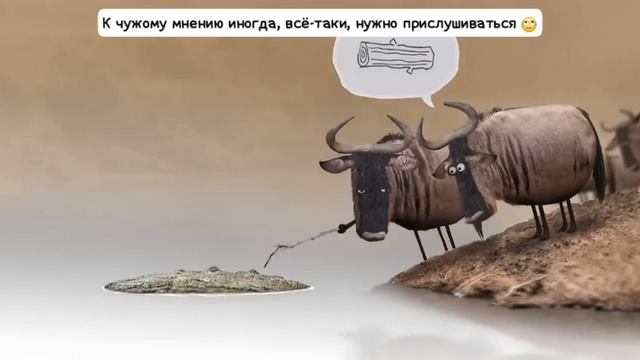 Чужое мнение - важно, порой 🙄