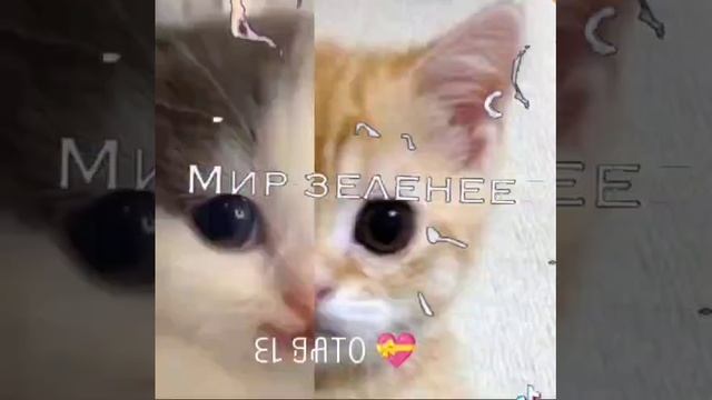 это мой друг сделал