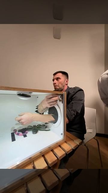 Сюрприз на 23 февраля