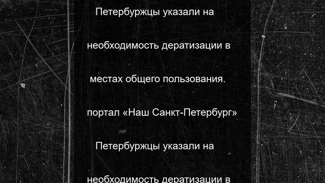 Полчища крыс терроризируют двор на Лиговском проспекте