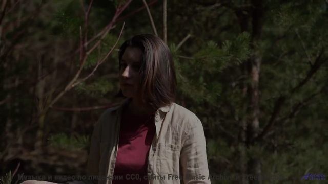Послушай эта музыка усиливает каждое мгновение - I Will Leave You Too -- Steve Combs -- Jaw