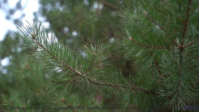 Мелодия двигает облака прямо на ваших глазах - Hal (III) -- opo -- Estudios Indigeniformes