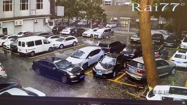 Огромное дерево раздавило 4 легковушки в Китае