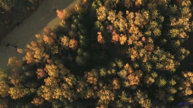Музыка пробирает до мурашек вместе с этими кадрами - Подвыпивший монах (feat. МЦ Кожух Реактора) --