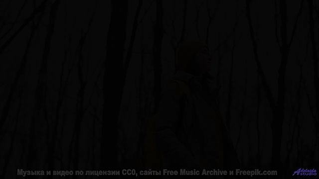 Кто оставил эту мелодию в глуши - Elephants On Parade -- Podington Bear -- Meet Podington Bear (Box