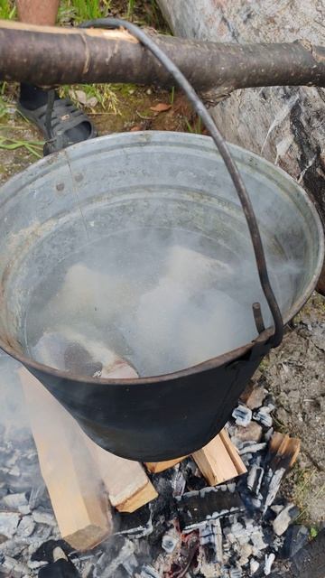 Уха варится, чай кипит, 👌