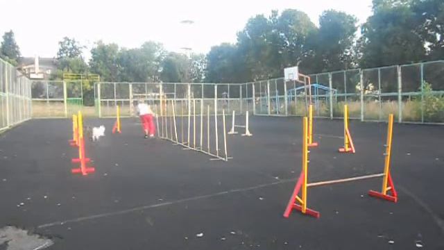 Рокси тренировка на площадке 12 августа 2013