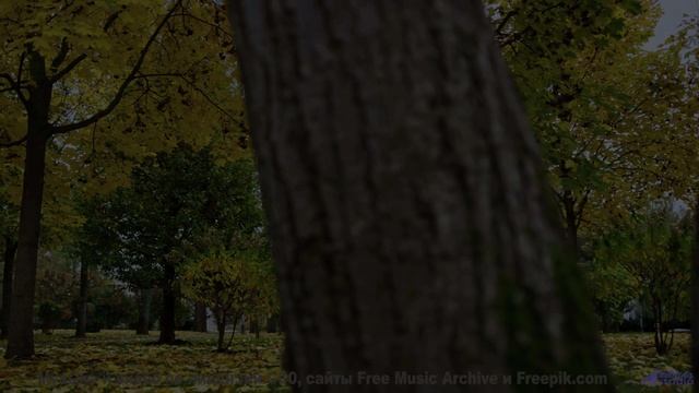 Когда музыка звучит так, будто её написал сам океан... - Waves -- HoliznaCC0 -- Orphaned Media