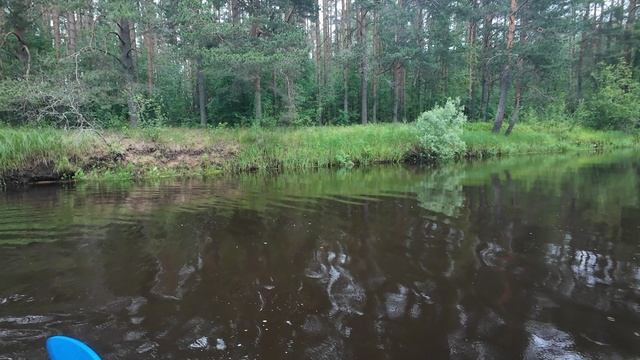Сплав по р. Песь ,19-20 июня 2025 год  . ( Новгородская - Вологодская область )