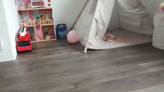 Я завтра уезжаю уже 😔
не беспокойтесь муравьи будут жить там как и жили.