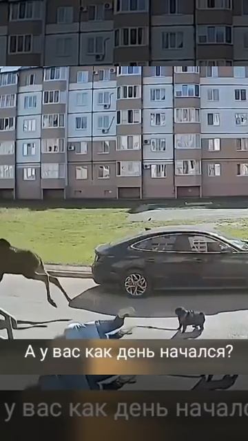 А как начался Ваш день?