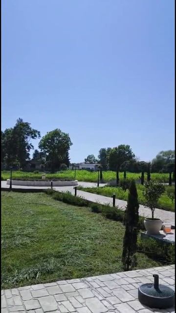 Зарисовки Сухума