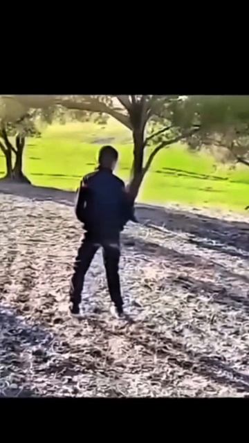 1000110582.mp4