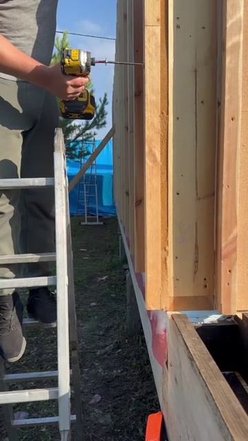 DeWALT и Конструкционный саморез - крепление стены каркасного дома #каркасныйдом  #каркасник